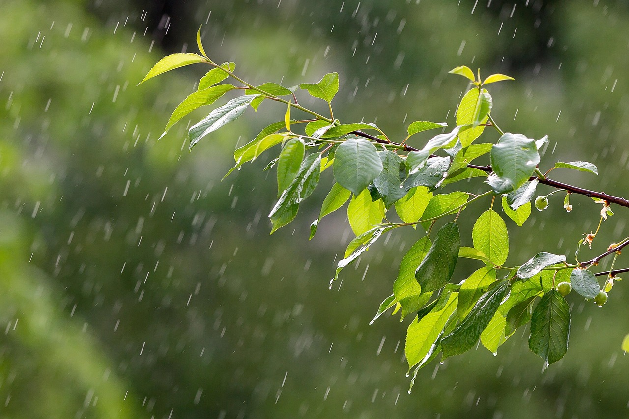 下周大范围降水与强冷空气来袭，应对与准备,下周会有雨吗  第1张