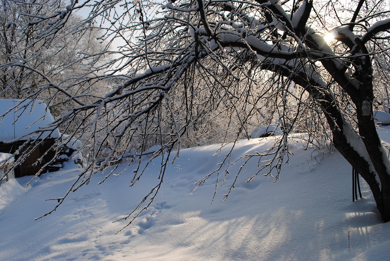 大范围阴雨雪将持续到下下周——气象分析与应对策略,大范围雨雪将覆盖超7成国土  第1张